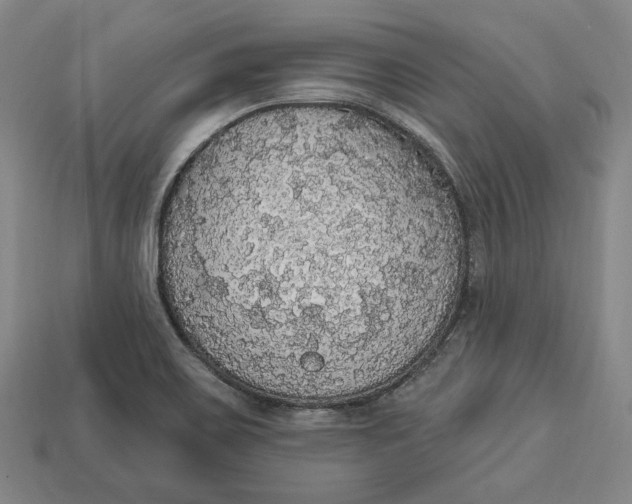 X0000112911467200909141241