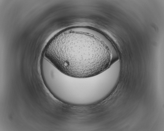 X0000112911468200909141241