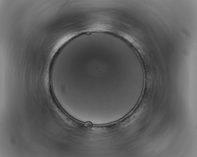 X0000112911469200909141241