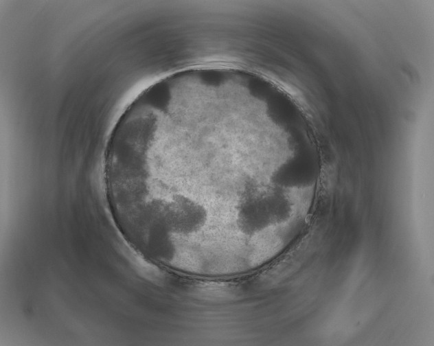 X0000112911470200909141241