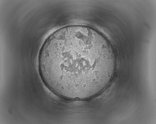 X0000112911471200909141241