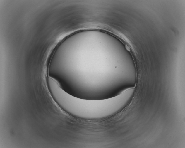 X0000112911472200909141241