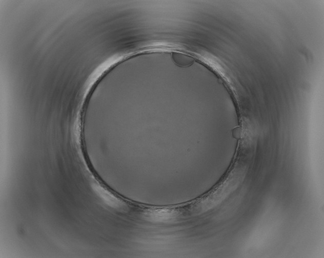 X0000112911474200909141241