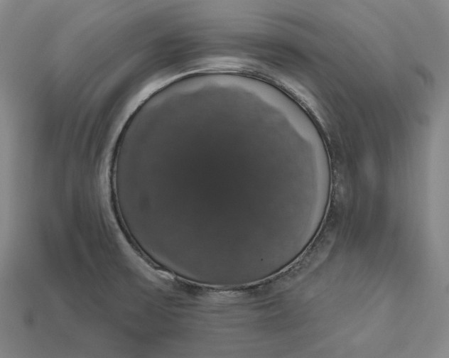 X0000112911475200909141241