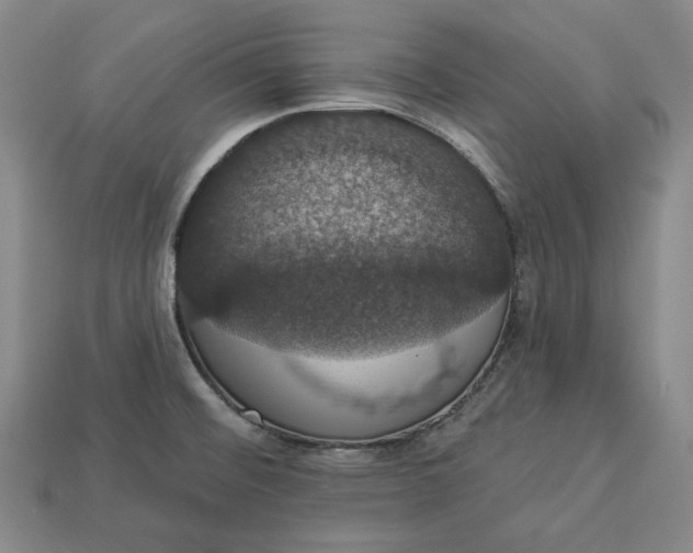 X0000112911476200909141240