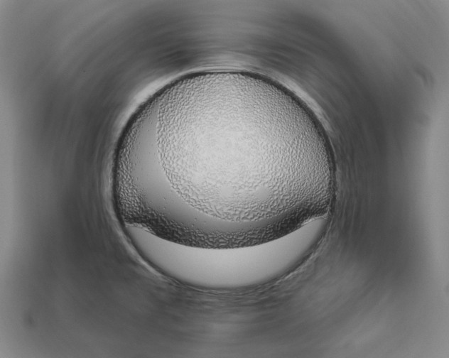 X0000112911477200909141240