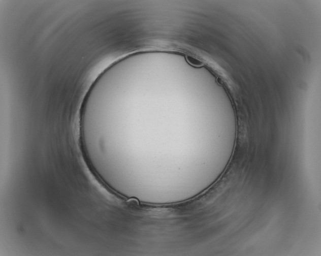 X0000112911479200909141240