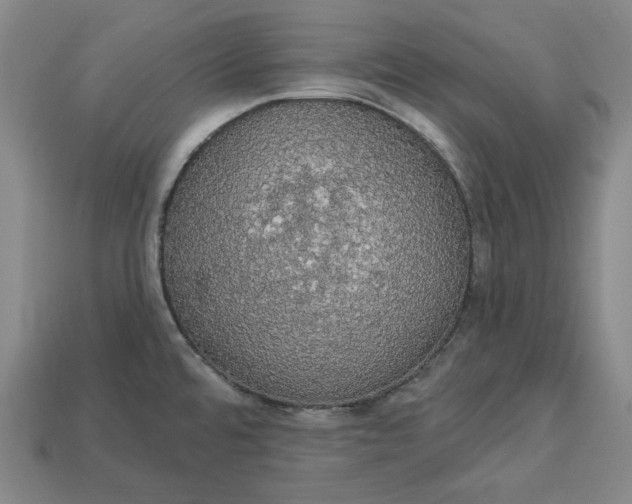 X0000112911480200909141240