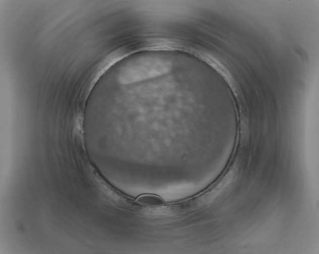 X0000112911481200909141240