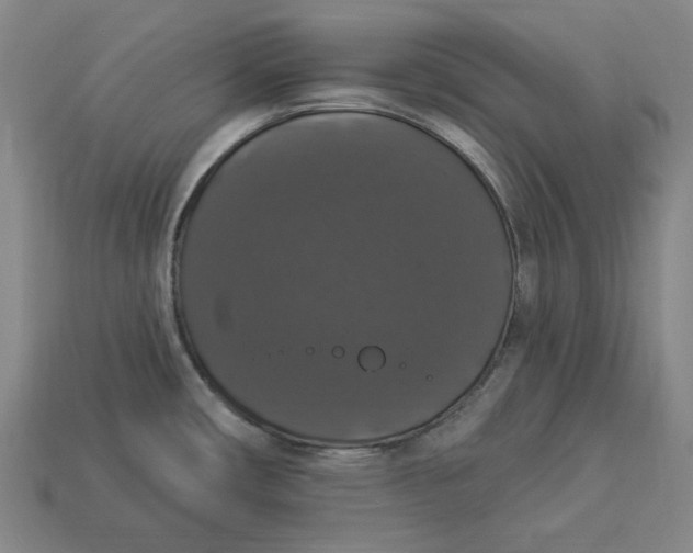 X0000112911482200909141240