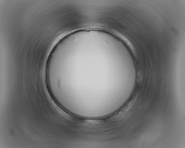 X0000112911483200909141240