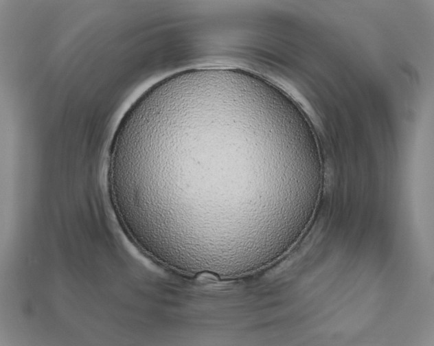 X0000112911484200909141240