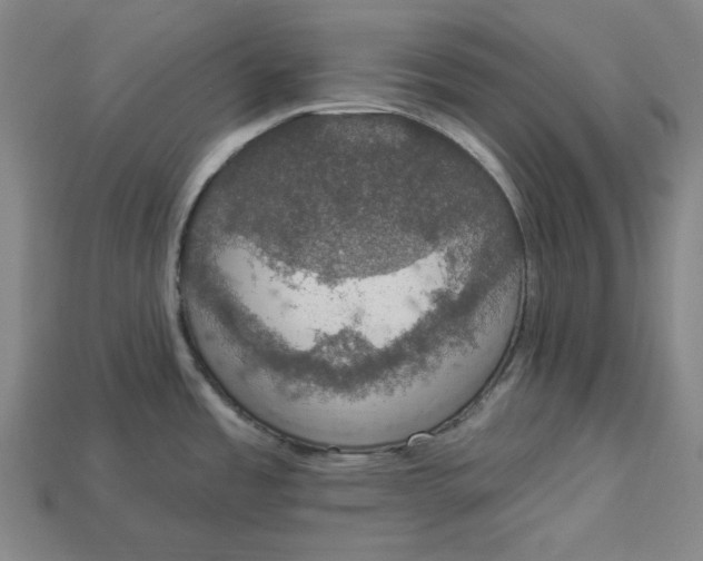 X0000112911485200909141240