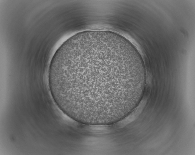 X0000112911486200909141240