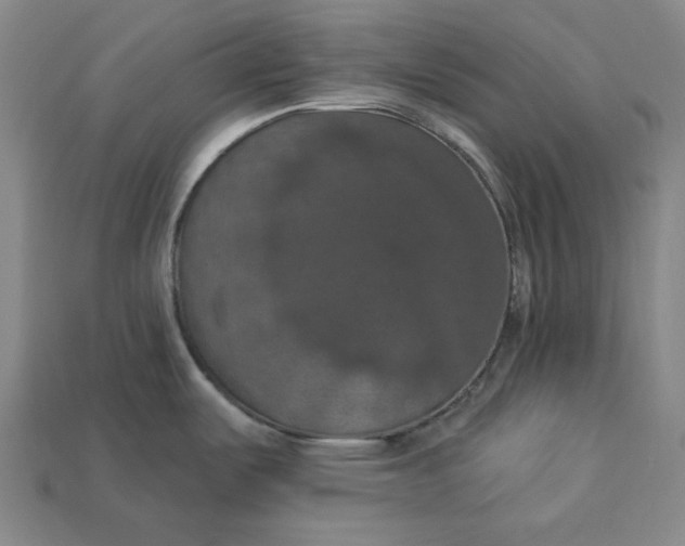 X0000112911487200909141240