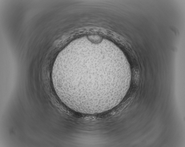 X0000112911489200909141240