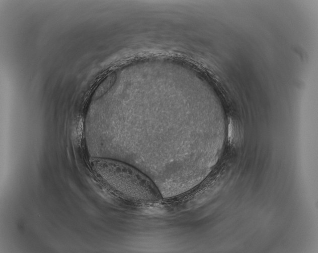 X0000112911492200909141240