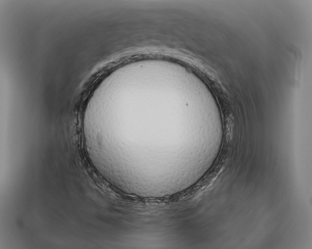 X0000112911494200909141240