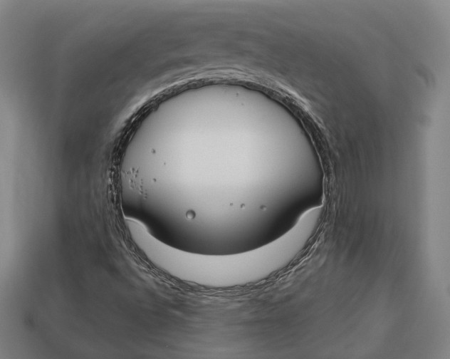 X0000112911496200909141240