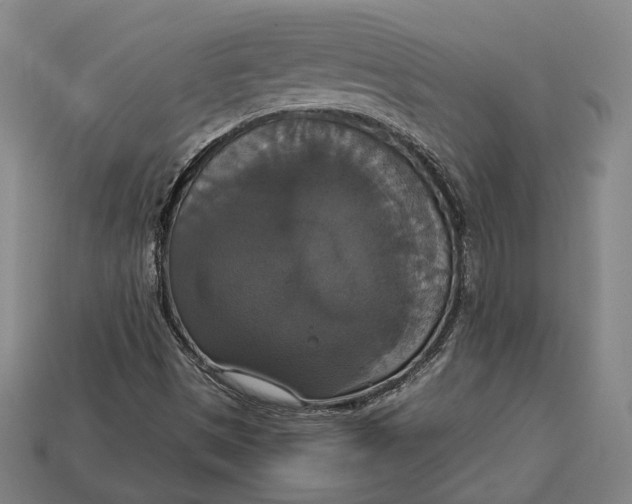 X0000112911497200909141240