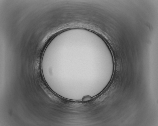 X0000112911499200909141240