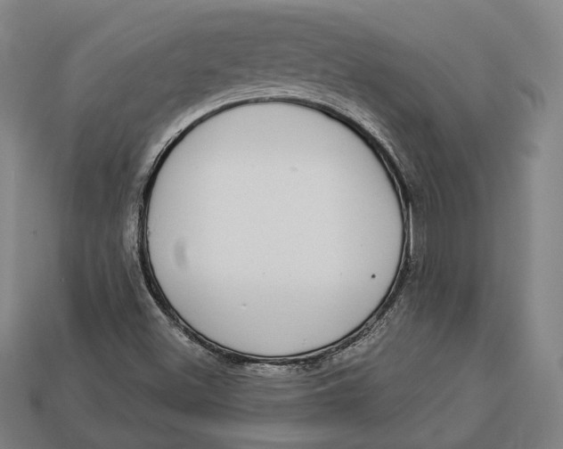 X0000112911500200909141240