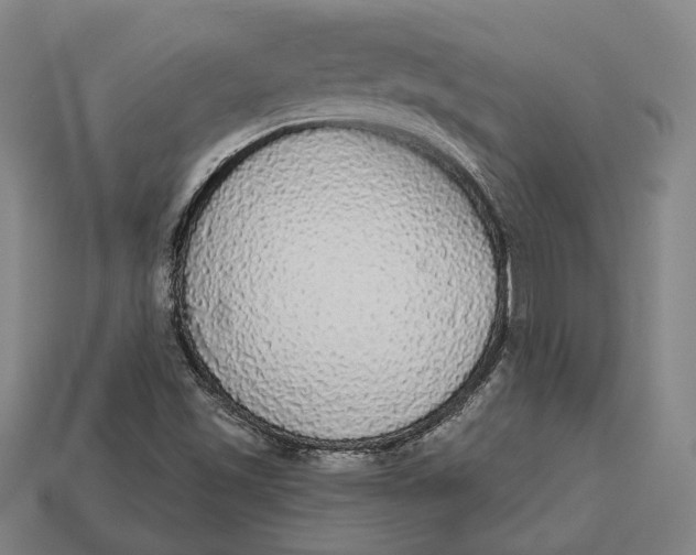 X0000112911501200909141240