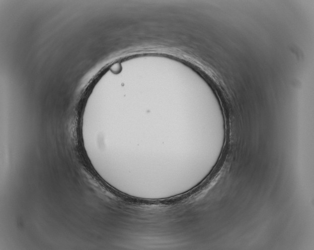 X0000112911502200909141240