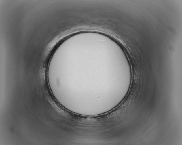 X0000112911503200909141240