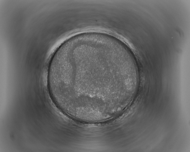 X0000112911504200909141240