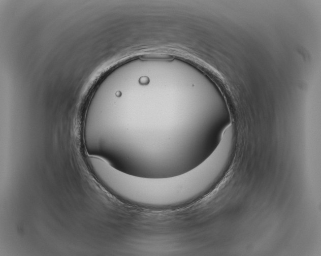 X0000112911506200909141240