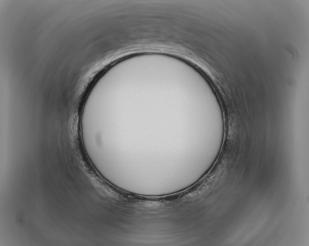 X0000112911507200909141240