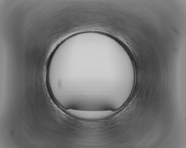 X0000112911508200909141240