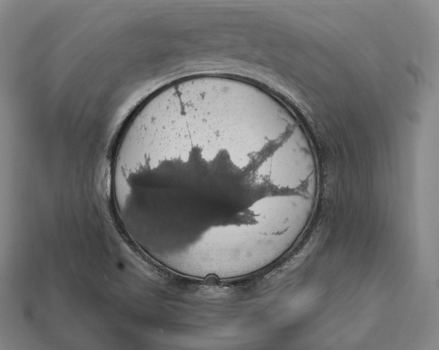 X0000112911509200909141240