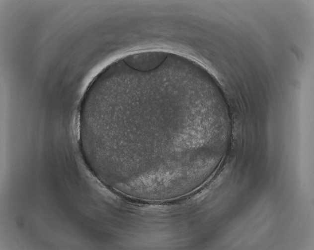 X0000112911510200909141240