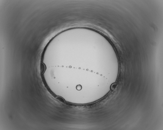 X0000112911512200909141240