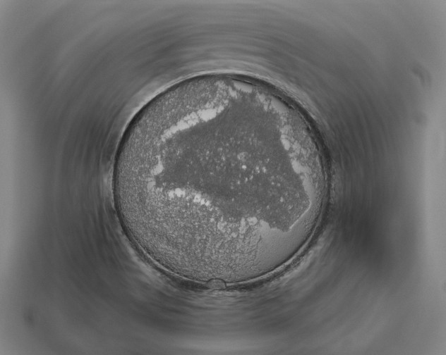 X0000112911513200909141240