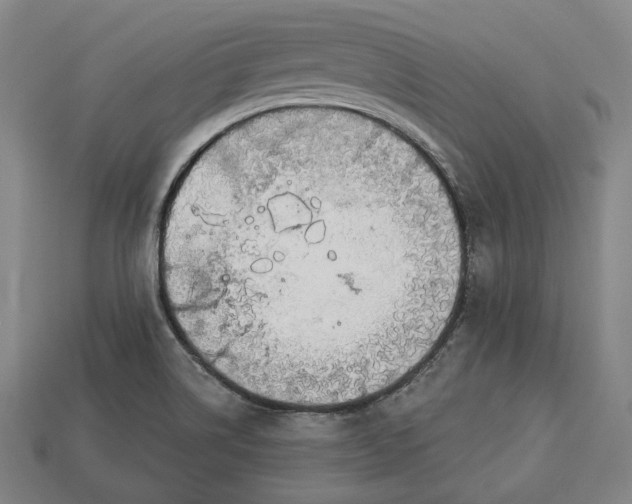 X0000112911514200909141240