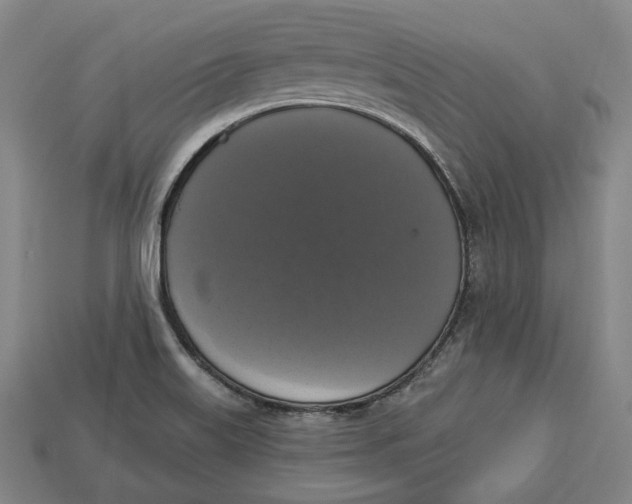 X0000112911515200909141240