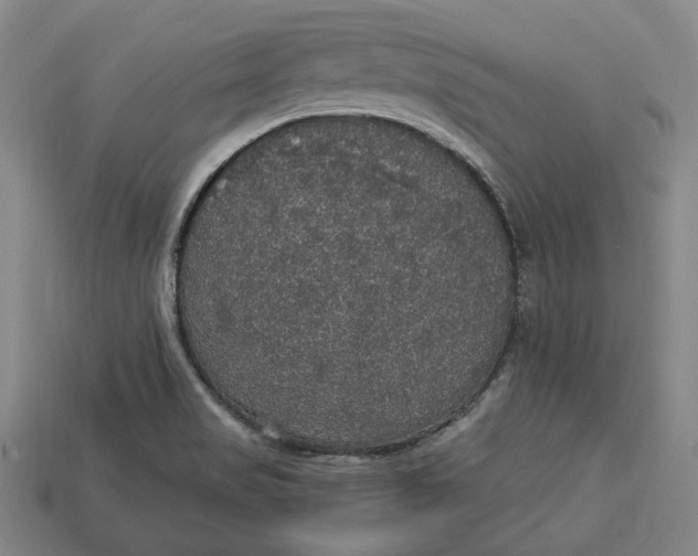 X0000112911517200909141240