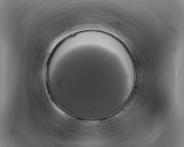 X0000112911519200909141240