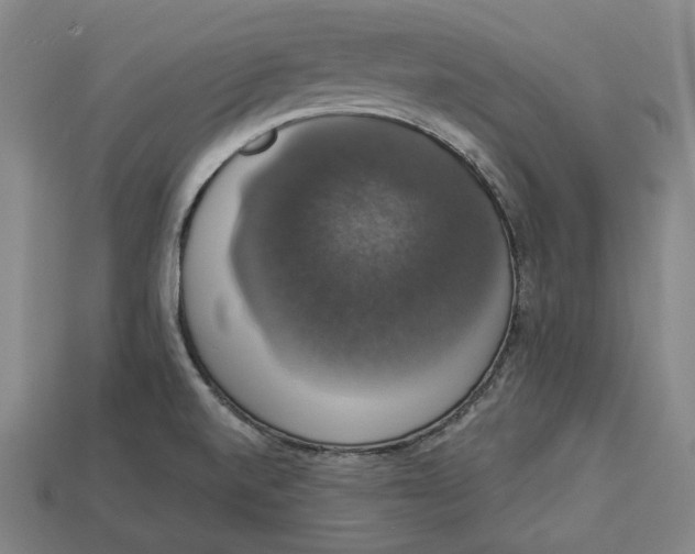 X0000112911520200909141240