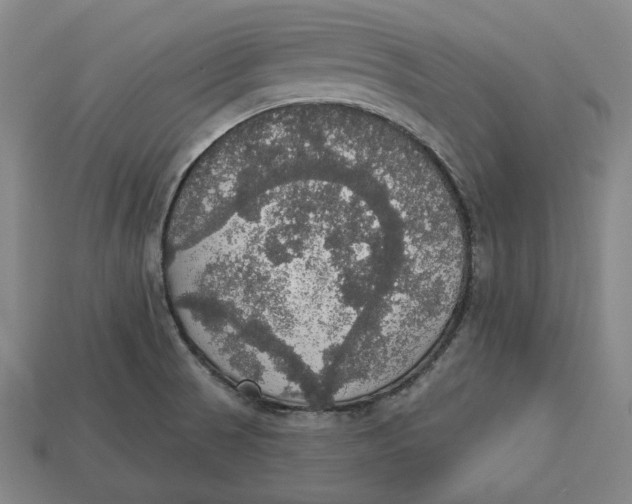 X0000112911521200909141240