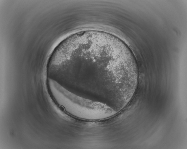 X0000112911523200909141240