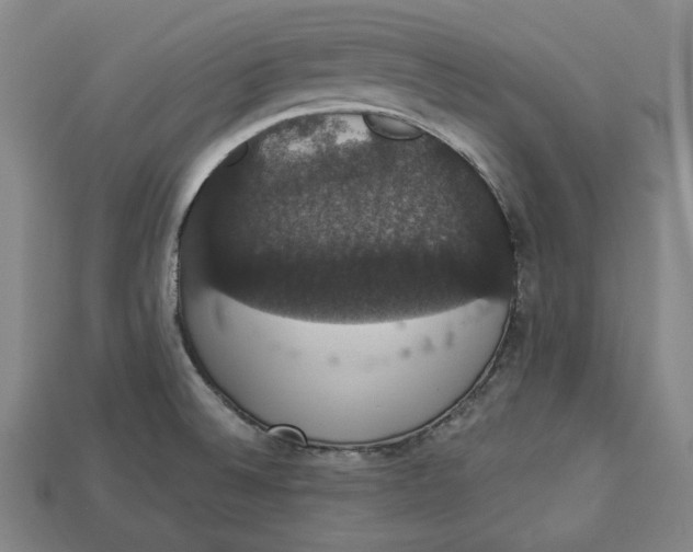 X0000112911524200909141240