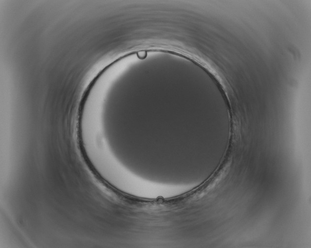 X0000112911525200909141240