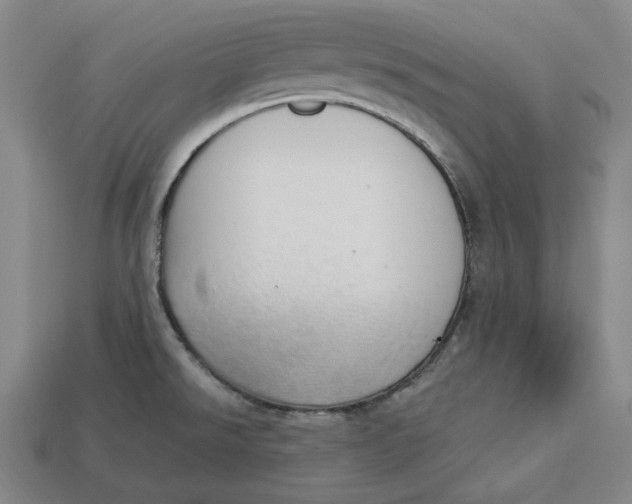 X0000112911526200909141240