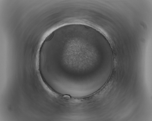 X0000112911528200909141240