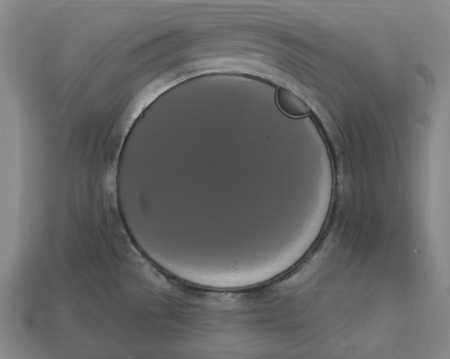 X0000112911529200909141240