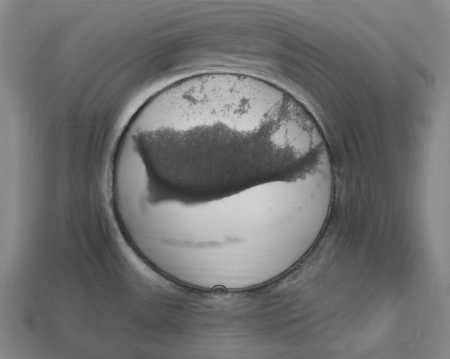 X0000112911531200909141240